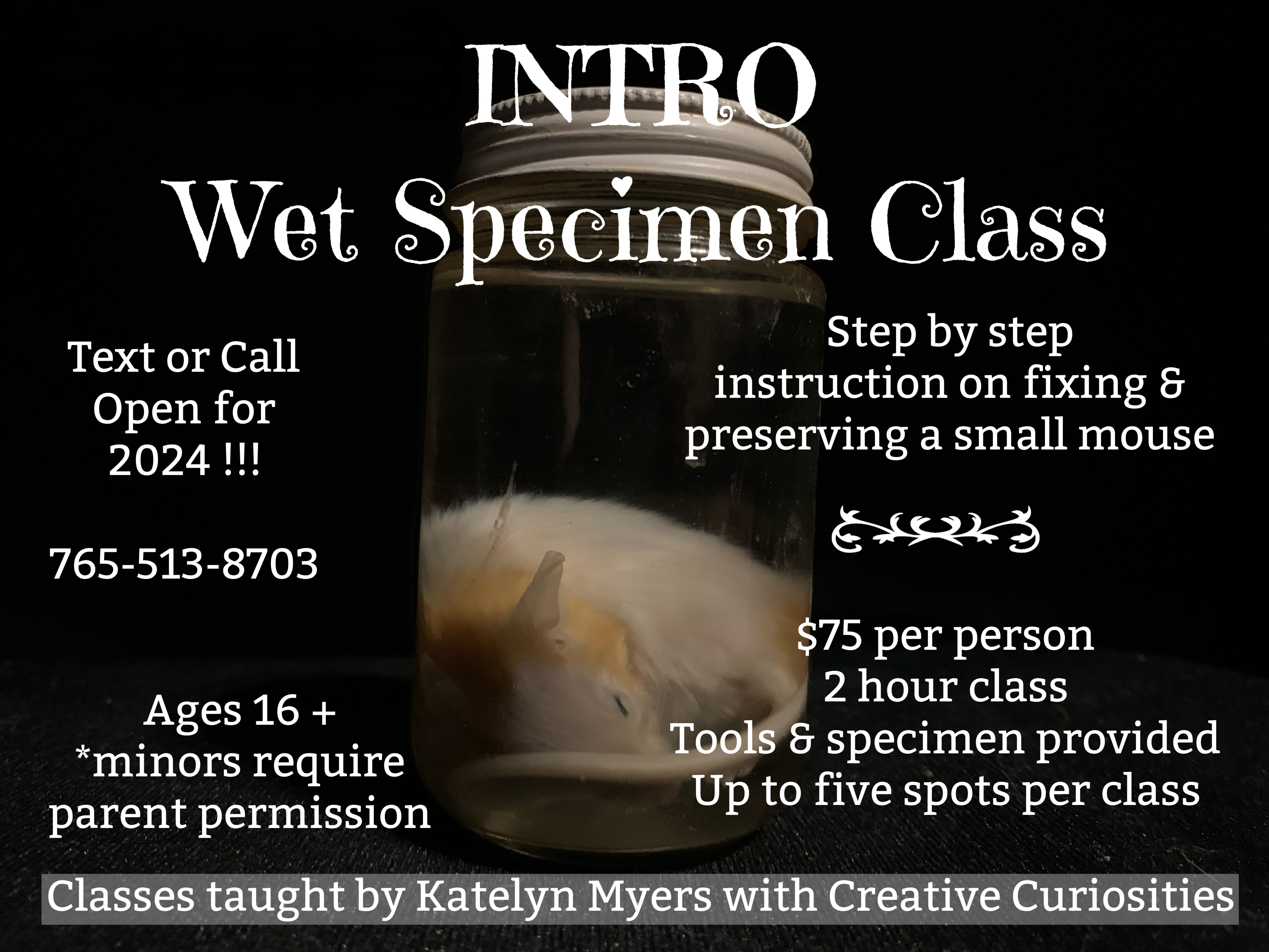 INTRO Wet Specimen Class